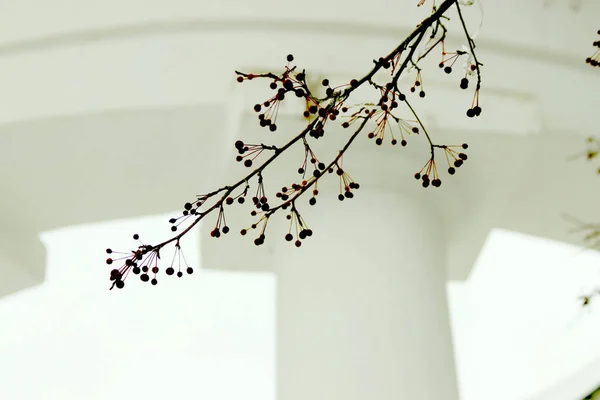 Ormanda Park 'ta çam ağacında ve huş ormanında kayaların ve taşların yanında ve gölün kıyısında insanlar çocuklarla ve köpeklerle rahatlar ve bir buz deliğinde banyo yaparlar.