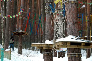 Ormanda Park 'ta çam ağacında ve huş ormanında kayaların ve taşların yanında ve gölün kıyısında insanlar çocuklarla ve köpeklerle rahatlar ve bir buz deliğinde banyo yaparlar.