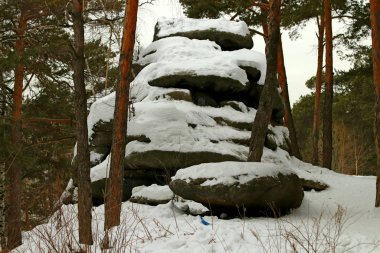 Ormanda Park 'ta çam ağacında ve huş ormanında kayaların ve taşların yanında ve gölün kıyısında insanlar çocuklarla ve köpeklerle rahatlar ve bir buz deliğinde banyo yaparlar.