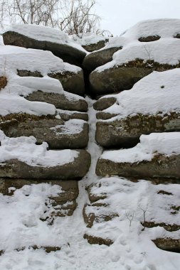 Ormanda Park 'ta çam ağacında ve huş ormanında kayaların ve taşların yanında ve gölün kıyısında insanlar çocuklarla ve köpeklerle rahatlar ve bir buz deliğinde banyo yaparlar.