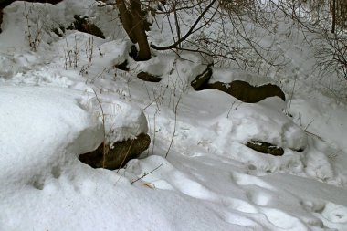 Ormanda Park 'ta çam ağacında ve huş ormanında kayaların ve taşların yanında ve gölün kıyısında insanlar çocuklarla ve köpeklerle rahatlar ve bir buz deliğinde banyo yaparlar.