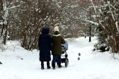 Kışın Park 'ta çam ağaçları, köknar ağaçları, huş ağaçları ve çalıların yanı sıra güvercinler, memeler, saksağanlar, serçeler, karlarda ve ağaçlarda kargalar vardır.