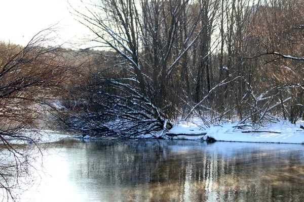 公園エリアでは 街は素晴らしい風景と森のエリアとその建物に隣接しています 冬は天気の良い日に川の水は太陽の下で輝きアヒルは泳ぎ雪と白樺の木は輝き — ストック写真