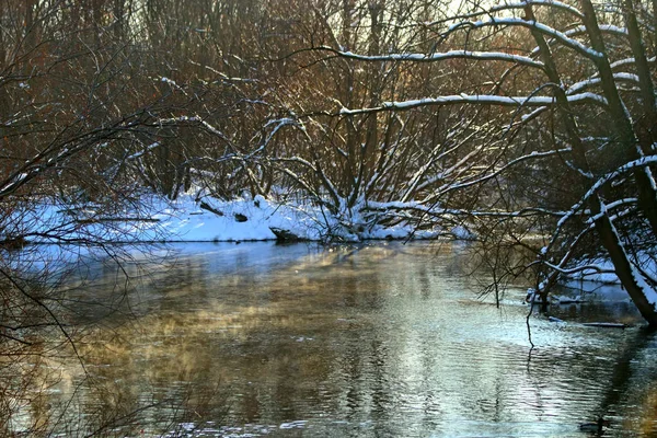 公園エリアでは 街は素晴らしい風景と森のエリアとその建物に隣接しています 冬は天気の良い日に川の水は太陽の下で輝きアヒルは泳ぎ雪と白樺の木は輝き — ストック写真