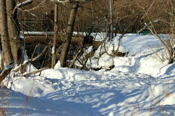 公園エリアでは 街は素晴らしい風景と森のエリアとその建物に隣接しています 冬は天気の良い日に川の水は太陽の下で輝きアヒルは泳ぎ雪と白樺の木は輝き — ストック写真