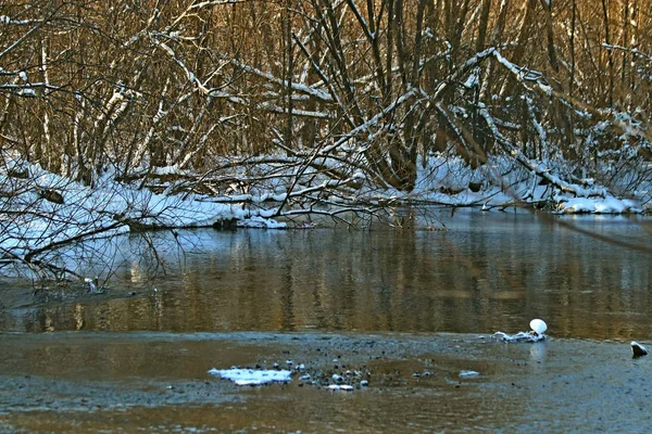 Dans Zone Parc Ville Jouxte Ses Bâtiments Avec Une Zone — Photo