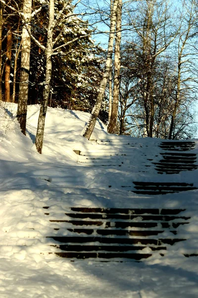 In the Park area, the city adjoins its buildings with a forest area, with a wonderful landscape. in winter, in good weather, the water on the river glistens in the sun and ducks swim, snow and birch trees sparkle