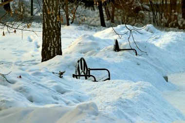 Kışın, Park 'ta kış için kalan meyve ve yaprakların yanı sıra güvercinler, kargalar, göğüsler, serçeler ve ördekler, tatilde olan birçok yetişkin ve çocuk vardır.
