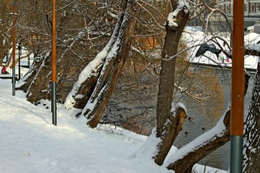 Şehrin Park bölgesinde güzel bir manzarası olan donmayan bir nehir var. Kışın, güzel havalarda, nehirdeki su güneşte parlar ve ördekler yüzer ve sıçrar, kargalar gururla kasıla kasıla yürür, çocukları ve köpekleri olan insanlar dinlenir.