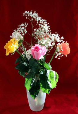 İçi ve çiçekli bir vazo ve bir gül sarı, beyaz, kırmızı, pembe ve Burgundy cam bir vazoda masanın üstünde.