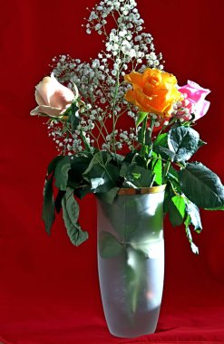 İçi ve çiçekli bir vazo ve bir gül sarı, beyaz, kırmızı, pembe ve Burgundy cam bir vazoda masanın üstünde.