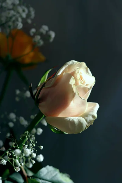 İçi ve çiçekli bir vazo ve bir gül sarı, beyaz, kırmızı, pembe ve Burgundy cam bir vazoda masanın üstünde.