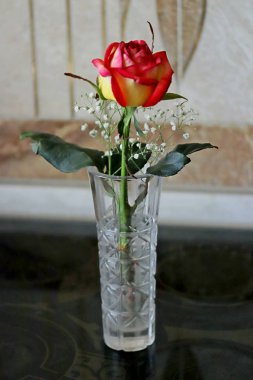 Kristal bir vazoda çiçek ve gül yaprakları Masada sarı, beyaz, kırmızı, pembe ve Burgundy