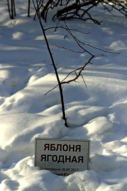 Kışın, karla kaplı gladyatörleri, düşmüş yaprakları ve meyveleri, kurumuş sazları ve otları, kardaki bankları ve birçok farklı kuşu görebilirsiniz.
