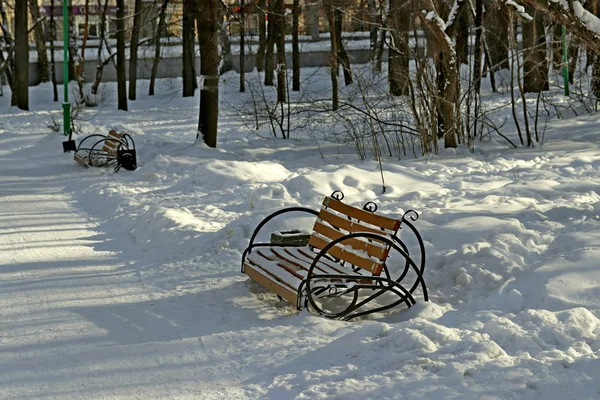 Vintern Kan Snötäckta Gläntor Och Träd Med Fallna Löv Och — Stockfoto