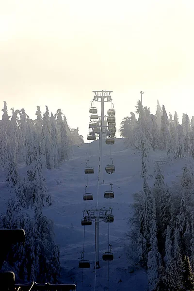 Belaya Berg Een Skigebied Met Pisten Liften Spar Loofbomen Winter — Stockfoto