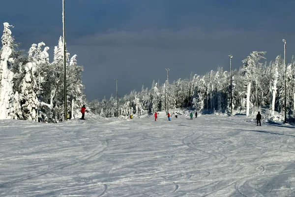 ベラヤ山には 斜面やリフトがあるスキー場があります 冬のスプルースと落葉樹はすべて雪に覆われ 霜は奇妙な形をしています 周囲の美しい景色を眺めることができます — ストック写真