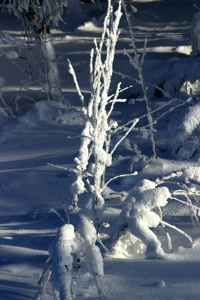 Auf Dem Berg Belaya Befindet Sich Ein Skikomplex Mit Pisten — Stockfoto