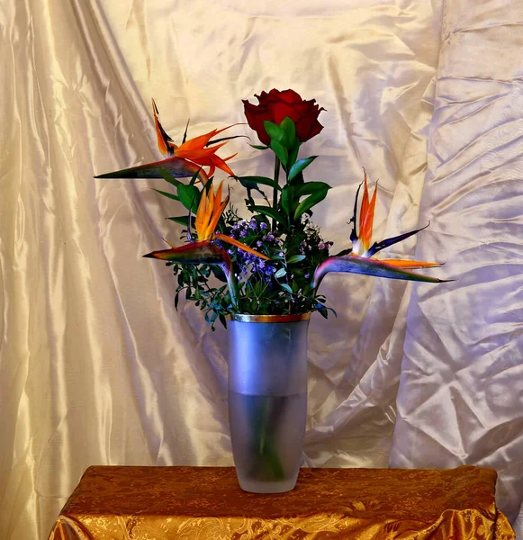 Fotoğraf natürmortlarında, sürahilerde, şarap kadehlerinde, sebzelerde, meyvelerde, şişelerde, kitaplarda, lambalarda, fırçalarda, kalemlerde, mumlarda kullanılan eşyalar