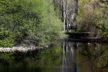 Bahar parkında, ağaçlar ve çalılar yeşile döndü, suda ördekler ve martılar belirdi, kargalar ve serçeler yeşil çimlerde, sincaplar ağaçlarda, park yapıları, rotundalar ve köprüler güneşte parlak görünüyor