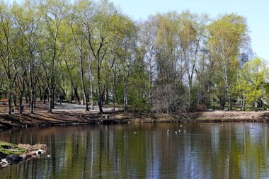 Bahar parkında, ağaçlar ve çalılar yeşile döndü, suda ördekler ve martılar belirdi, kargalar ve serçeler yeşil çimlerde, sincaplar ağaçlarda, park yapıları, rotundalar ve köprüler güneşte parlak görünüyor