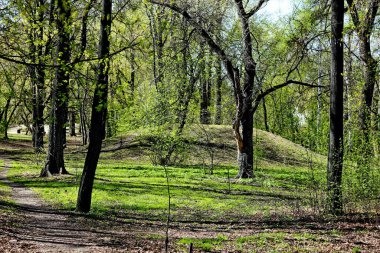Bahar parkında, ağaçlar ve çalılar yeşile döndü, suda ördekler ve martılar belirdi, kargalar ve serçeler yeşil çimlerde, sincaplar ağaçlarda, park yapıları, rotundalar ve köprüler güneşte parlak görünüyor