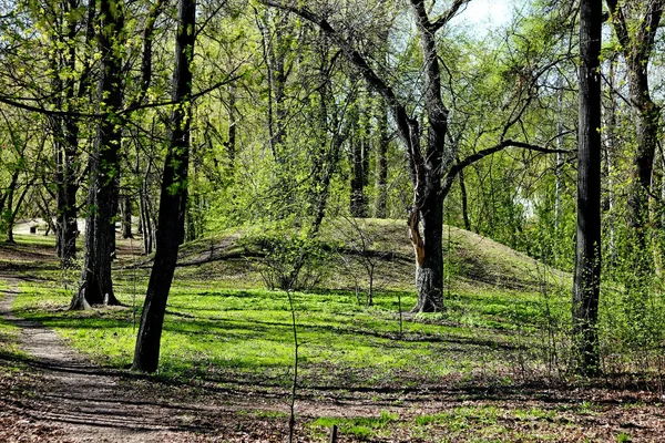 Bahar parkında, ağaçlar ve çalılar yeşile döndü, suda ördekler ve martılar belirdi, kargalar ve serçeler yeşil çimlerde, sincaplar ağaçlarda, park yapıları, rotundalar ve köprüler güneşte parlak görünüyor