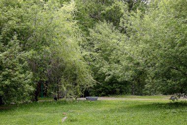 Güneşli bir bahar gününde, elma ağaçları, kiraz ağaçları, leylaklar, kırmızı, sarı ve ozan laleleri çiçek açar, insanlar köpeklerle parkta yürür, kargalar çimenlerde toplanır, ördekler ve martılar yüzer, serçeler ılık suda yıkanır, ve parkın Lanthorn manzarası açılır