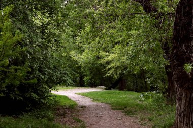 Güneşli bir bahar gününde, elma ağaçları, kiraz ağaçları, leylaklar, kırmızı, sarı ve ozan laleleri çiçek açar, insanlar köpeklerle parkta yürür, kargalar çimenlerde toplanır, ördekler ve martılar yüzer, serçeler ılık suda yıkanır, ve parkın Lanthorn manzarası açılır
