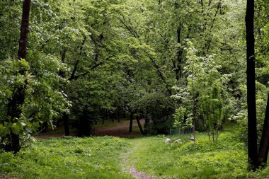 Güneşli bir bahar gününde, elma ağaçları, kiraz ağaçları, leylaklar, kırmızı, sarı ve ozan laleleri çiçek açar, insanlar köpeklerle parkta yürür, kargalar çimenlerde toplanır, ördekler ve martılar yüzer, serçeler ılık suda yıkanır, ve parkın Lanthorn manzarası açılır
