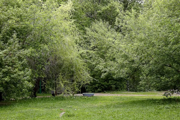Güneşli bir bahar gününde, elma ağaçları, kiraz ağaçları, leylaklar, kırmızı, sarı ve ozan laleleri çiçek açar, insanlar köpeklerle parkta yürür, kargalar çimenlerde toplanır, ördekler ve martılar yüzer, serçeler ılık suda yıkanır, ve parkın Lanthorn manzarası açılır