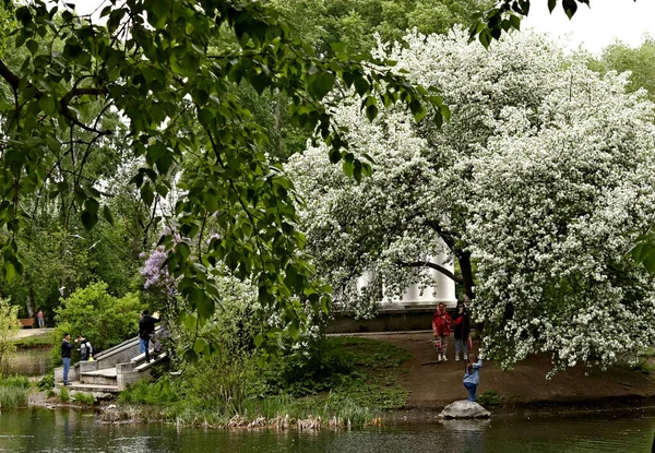 Güneşli bir bahar gününde, elma ağaçları, kiraz ağaçları, leylaklar, kırmızı, sarı ve ozan laleleri çiçek açar, insanlar köpeklerle parkta yürür, kargalar çimenlerde toplanır, ördekler ve martılar yüzer, serçeler ılık suda yıkanır, ve parkın Lanthorn manzarası açılır