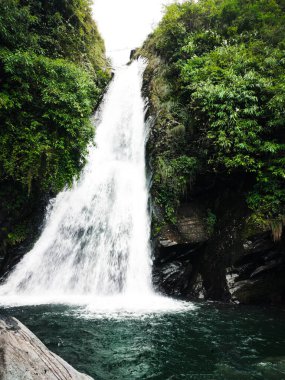 Dharmshala Hindistan 'a seyahat, himachal pradesh, Hindistan' daki tepelerden görülen güzel bir şelale.