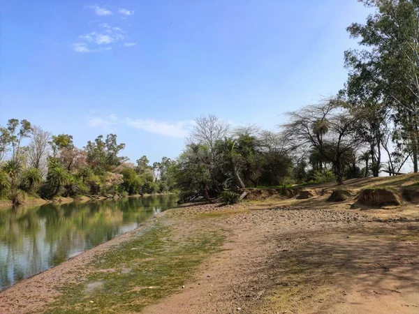 Eine Schöne Landschaft Aus Bäumen Ufer Eines Flusses Punjab Indien — Stockfoto