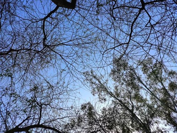 Bela Vista Monte Árvores Céu Perto Margem Rio Perto Aalamgir — Fotografia de Stock