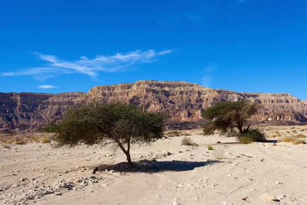 Desert landscape, Mountains and dry land with blue skyline in the background.