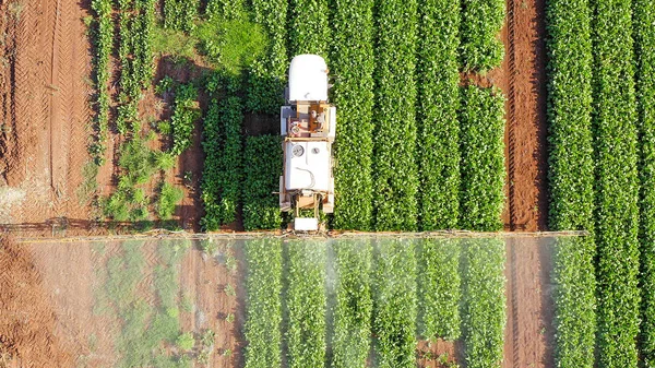 Pesticide Sprayer Tractor Working Sugar Beet Field Aerial Image — Stock fotografie