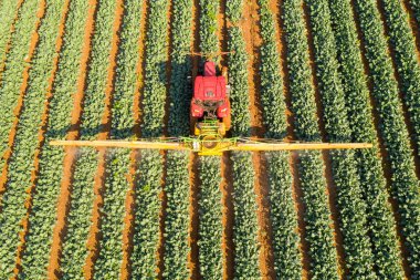 Böcek ilacı Spreyi Traktörü geniş bir alanda çalışıyor..
