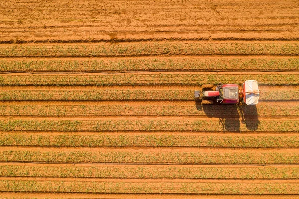 Pré Semeadura Achatamento Rolo Trator Trabalhando Campo Imagem Aérea — Fotografia de Stock