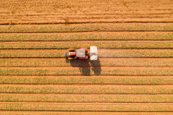 Pré Semeadura Achatamento Rolo Trator Trabalhando Campo Imagem Aérea — Fotografia de Stock