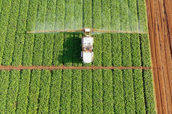 Trator de pulverização de pesticidas trabalhando em um grande campo. — Fotografia de Stock
