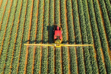 Böcek ilacı Spreyi Traktörü geniş bir alanda çalışıyor..