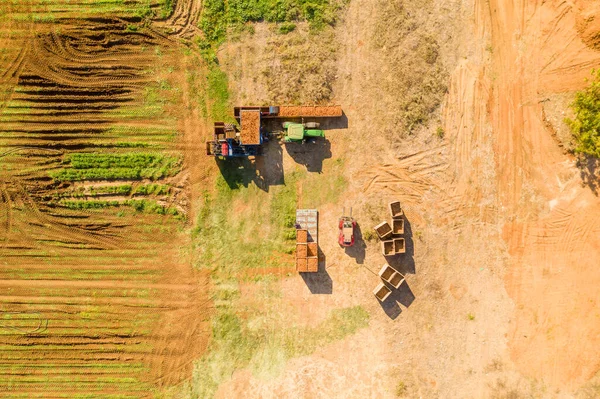 Vista aérea de uma estação de descarga de coleta de cenoura com trator verde — Fotografia de Stock