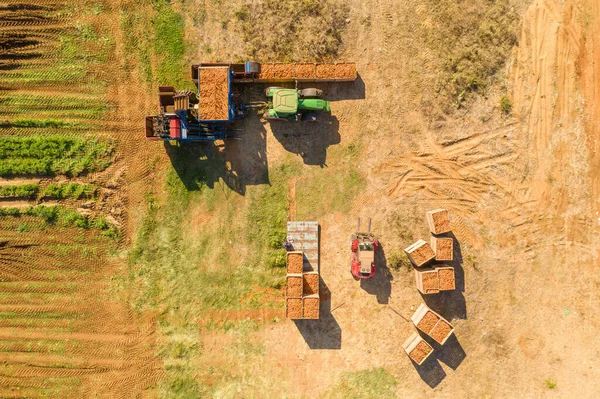 Vista aérea de uma estação de descarga de coleta de cenoura com trator verde — Fotografia de Stock