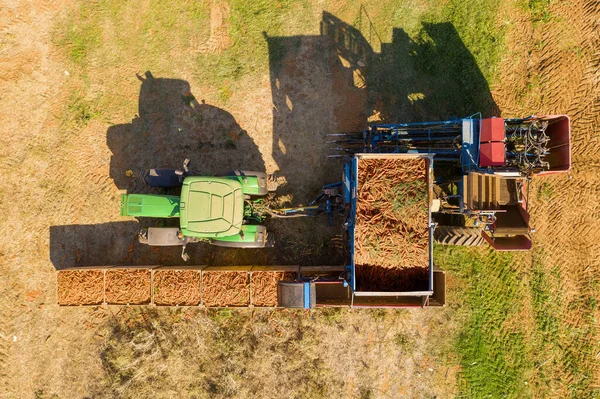 Vista aérea de uma estação de descarga de coleta de cenoura com trator verde — Fotografia de Stock