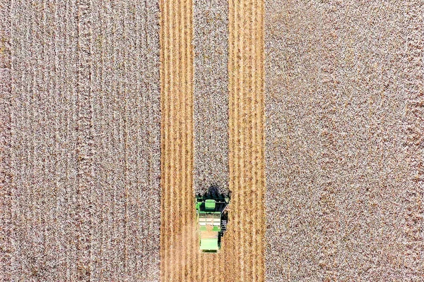 Imagen aérea de un gran recolector de algodón cosechando un campo . — Foto de Stock