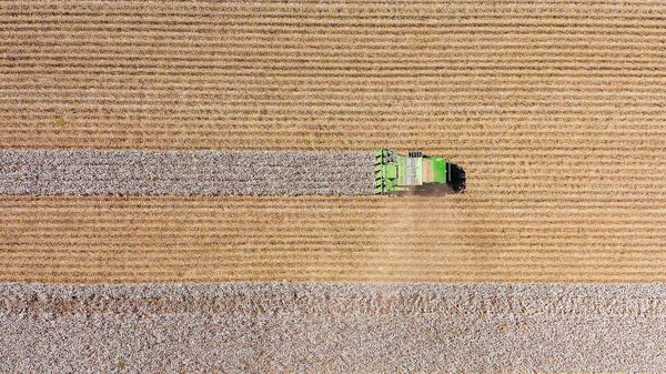 밭을 거두어들이는 거대 한 목화 절단기의 공중 사진. — 스톡 사진