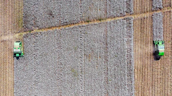 Imagem aérea de um grande coletor de algodão colhendo um campo . — Fotografia de Stock