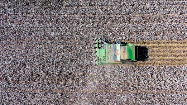 Immagine aerea di un grande raccoglitore di cotone che raccoglie un campo . — Foto Stock