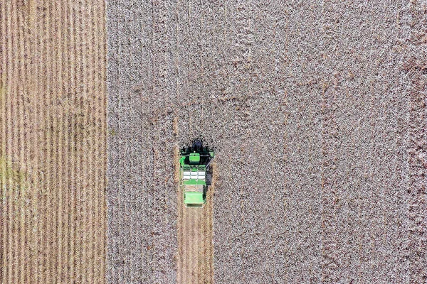 Повітряне зображення Великого бавовняного пікету, що збирає поле . — стокове фото